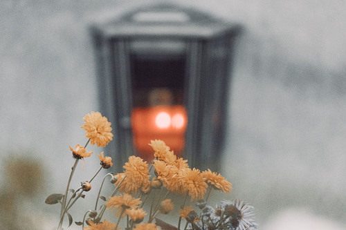 Erzdiözese Wien / Stephan Schönlaub