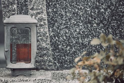 Erzdiözese Wien/ Stephan Schönlaub, Stephan Schönlaub