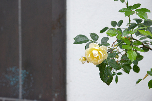 Katholische Kirche Vorarlberg - Bernadette Fessler